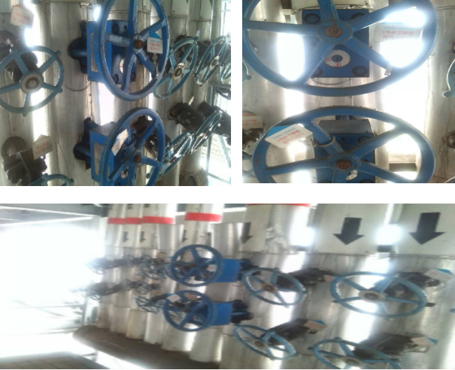 现场实拍
